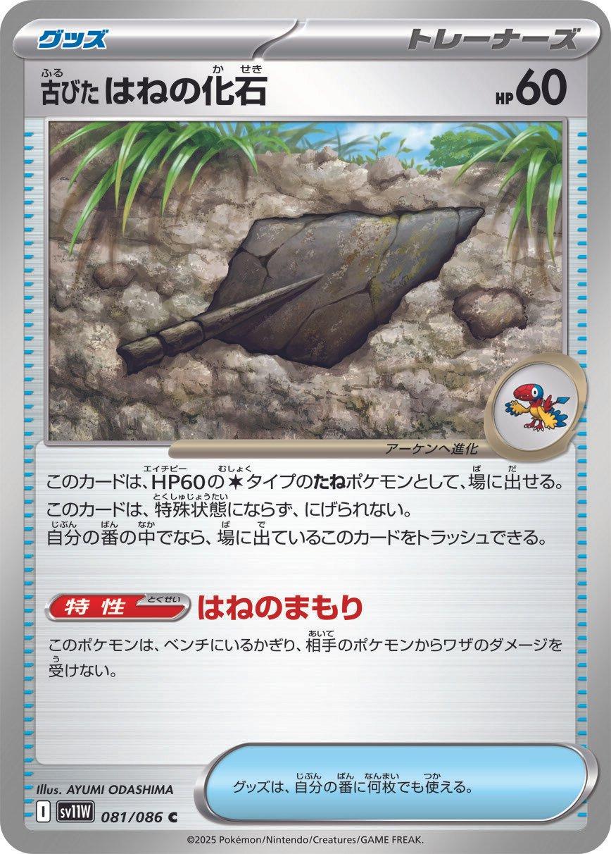 Picture of Antique Plume Fossil