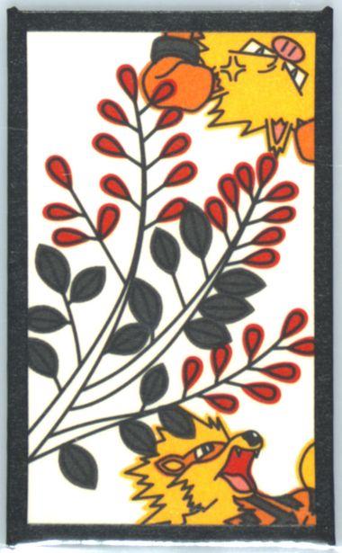 Image of Arcanine, Primeape