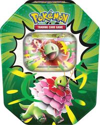 Picture of Ascended Heroes Tin