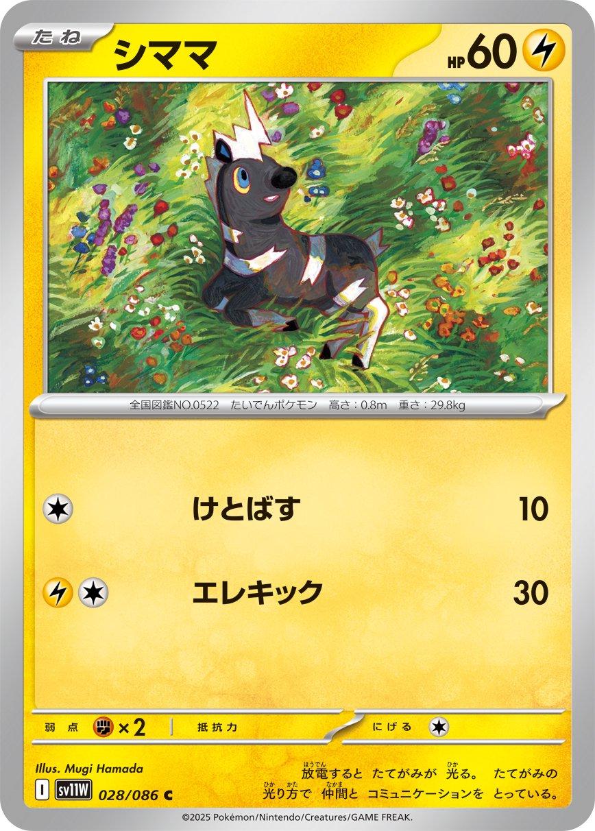 Picture of Blitzle