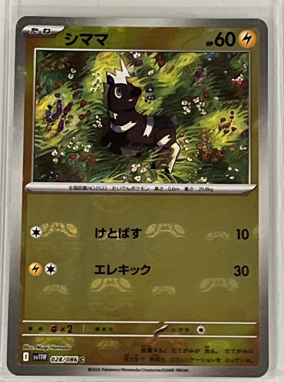 Picture of Blitzle