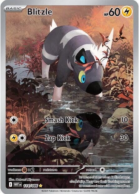 Picture of Blitzle