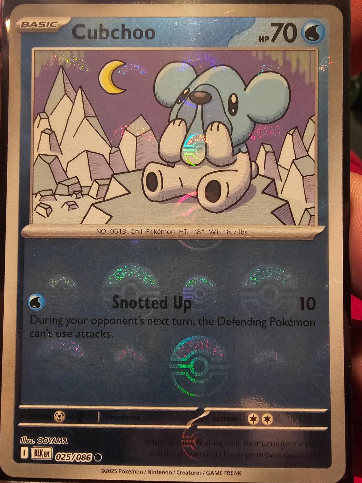Picture of Cubchoo