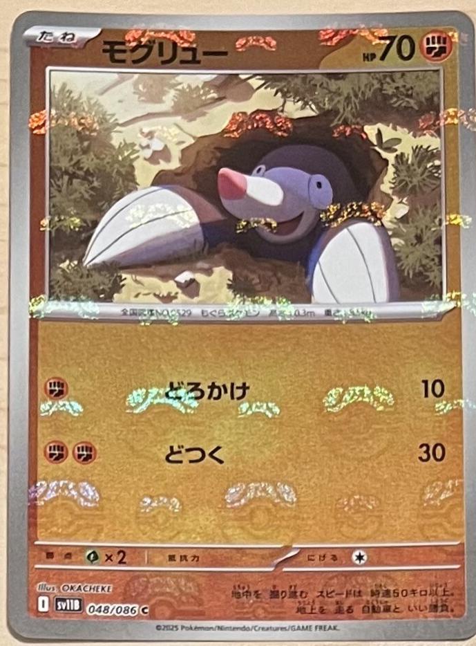 Picture of Drilbur