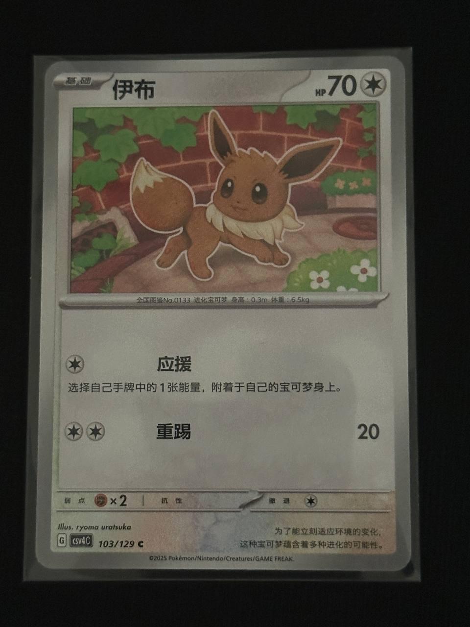 Chinese Csv4C Logo or Card