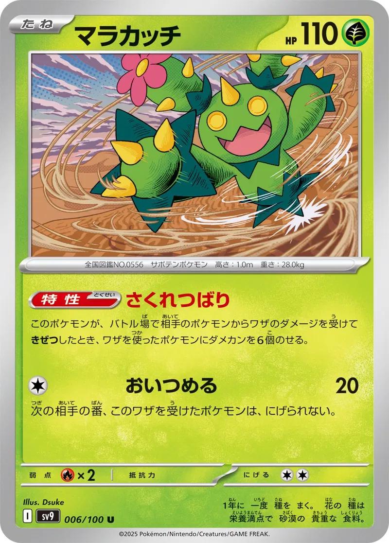 Picture of Maractus