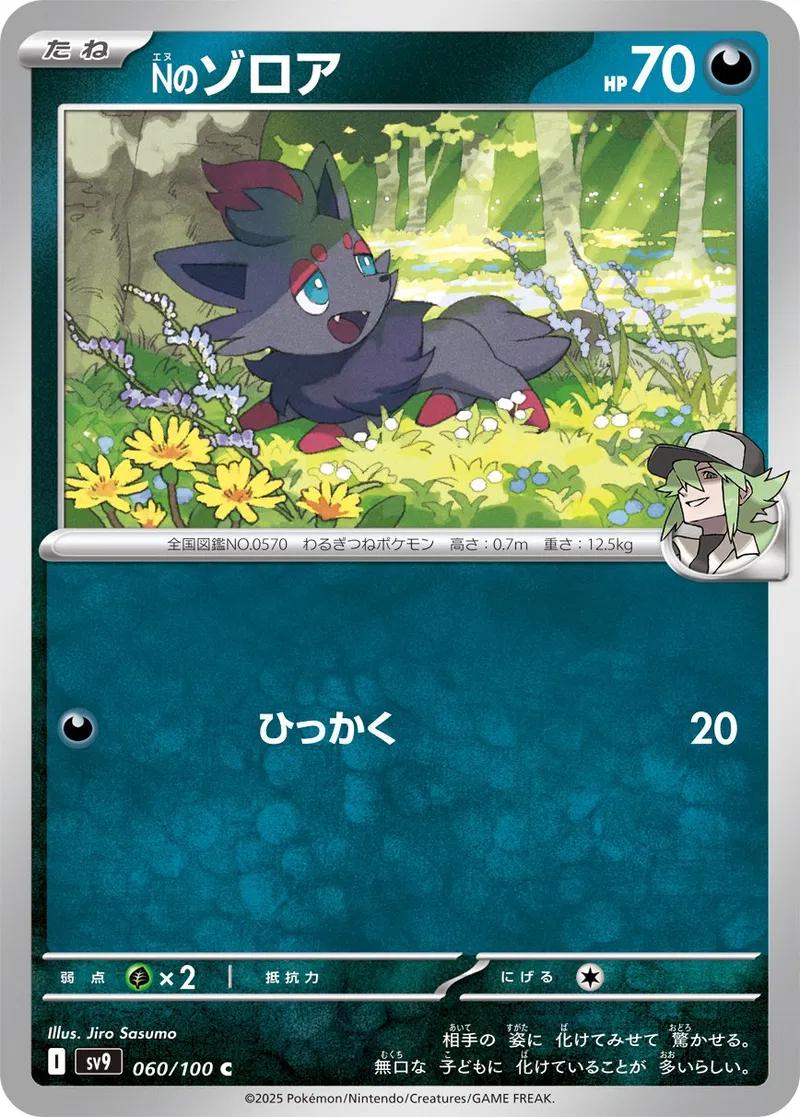 Picture of N's Zorua