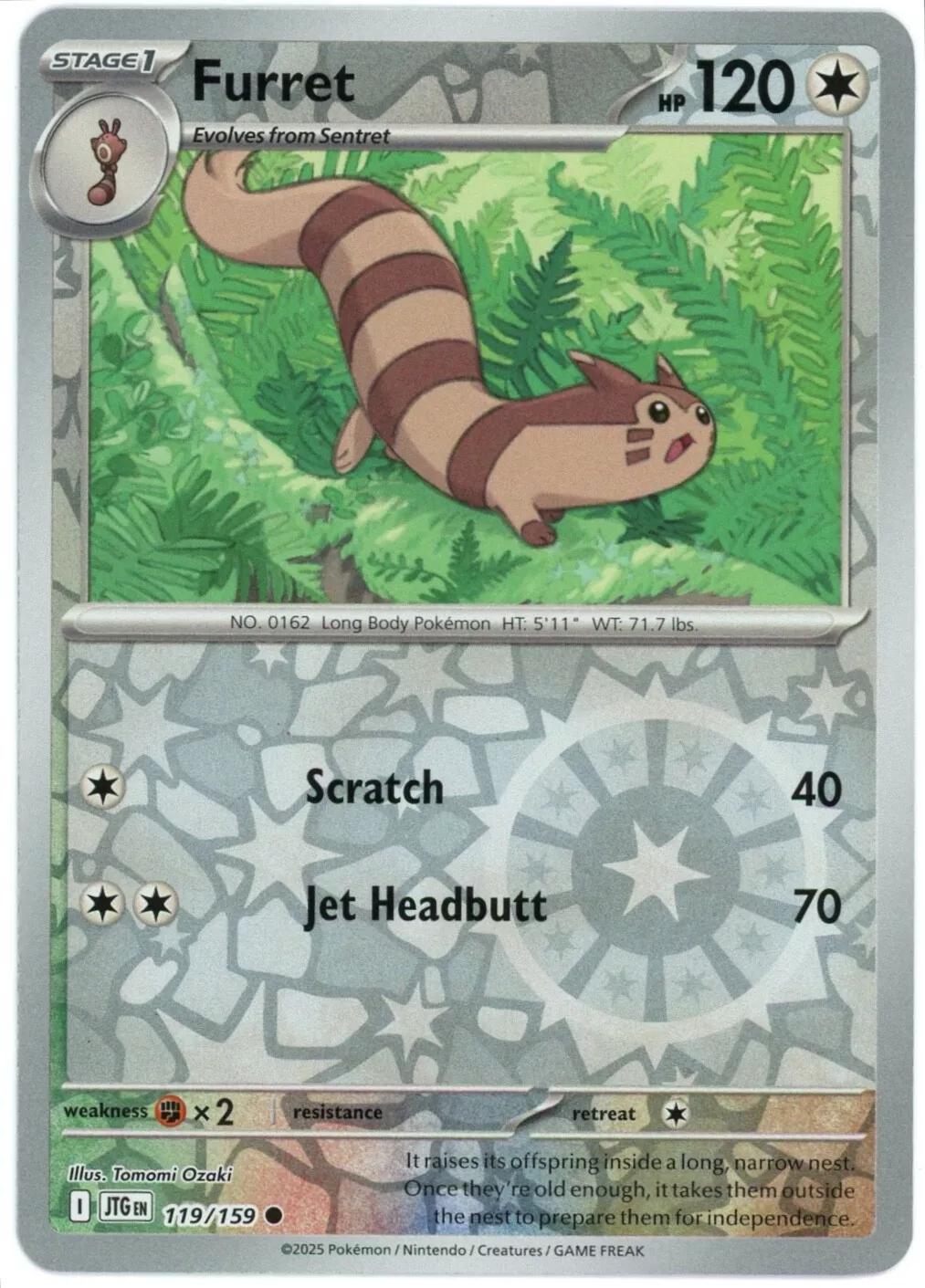 Furret