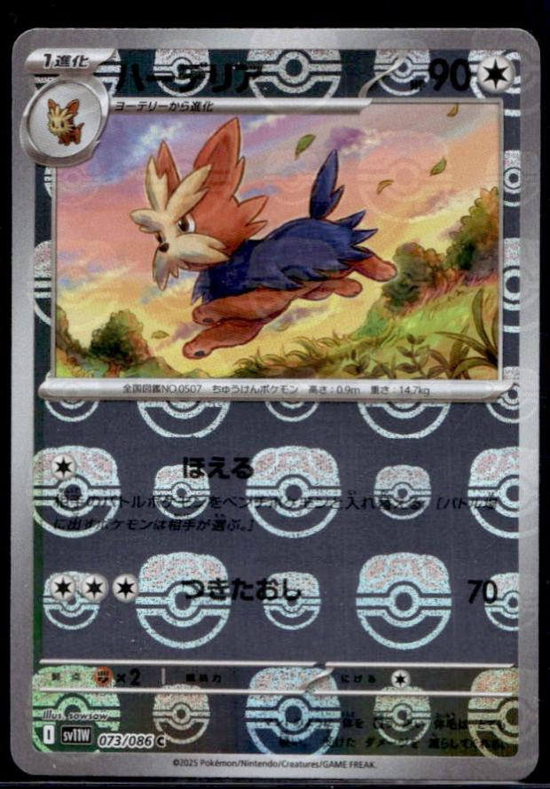 Lillipup
