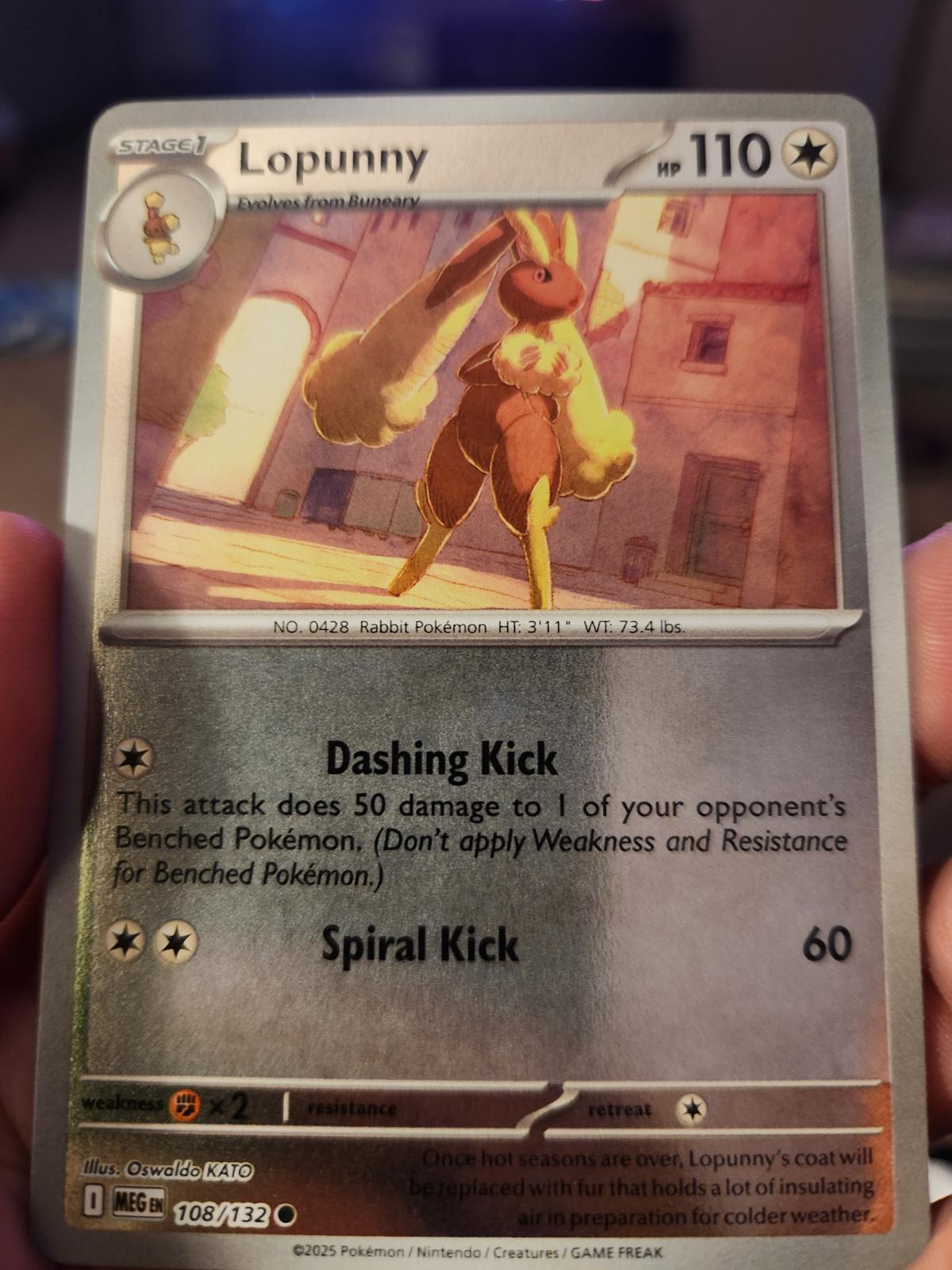 Picture of Lopunny