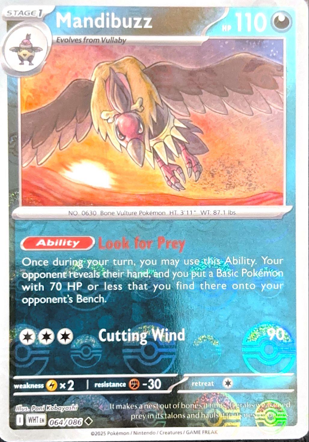 Mandibuzz