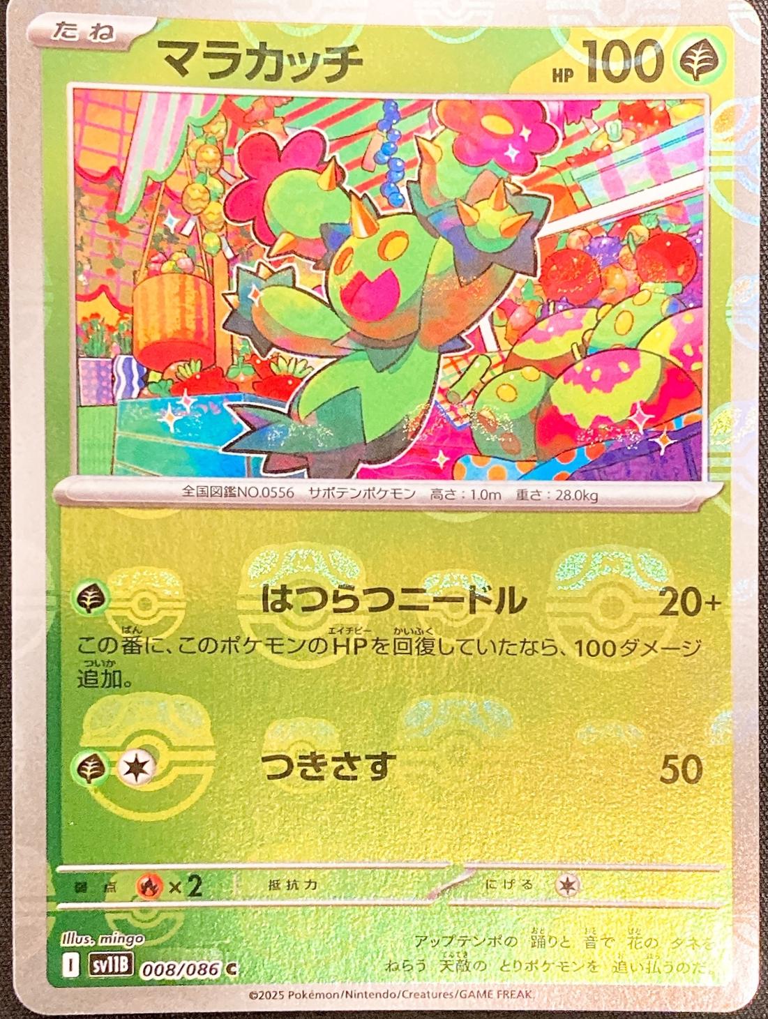 Picture of Maractus