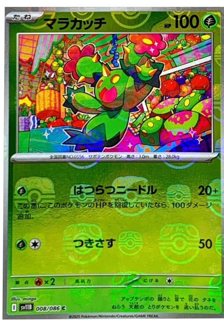 Picture of Maractus