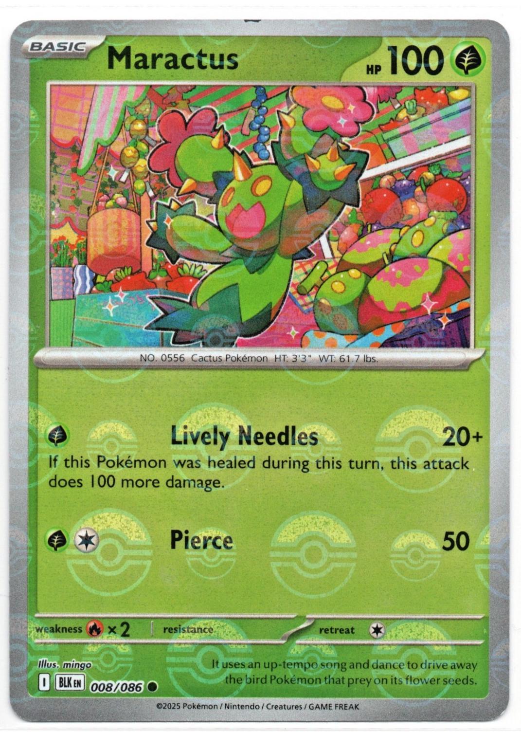 Maractus