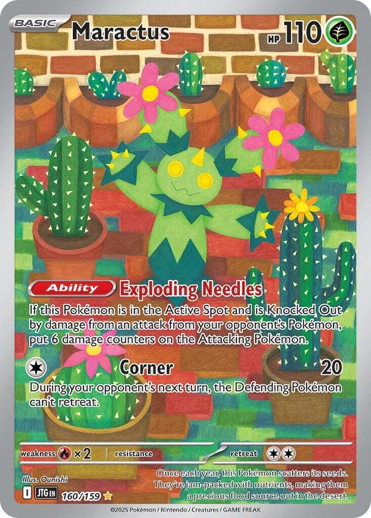 Picture of Maractus