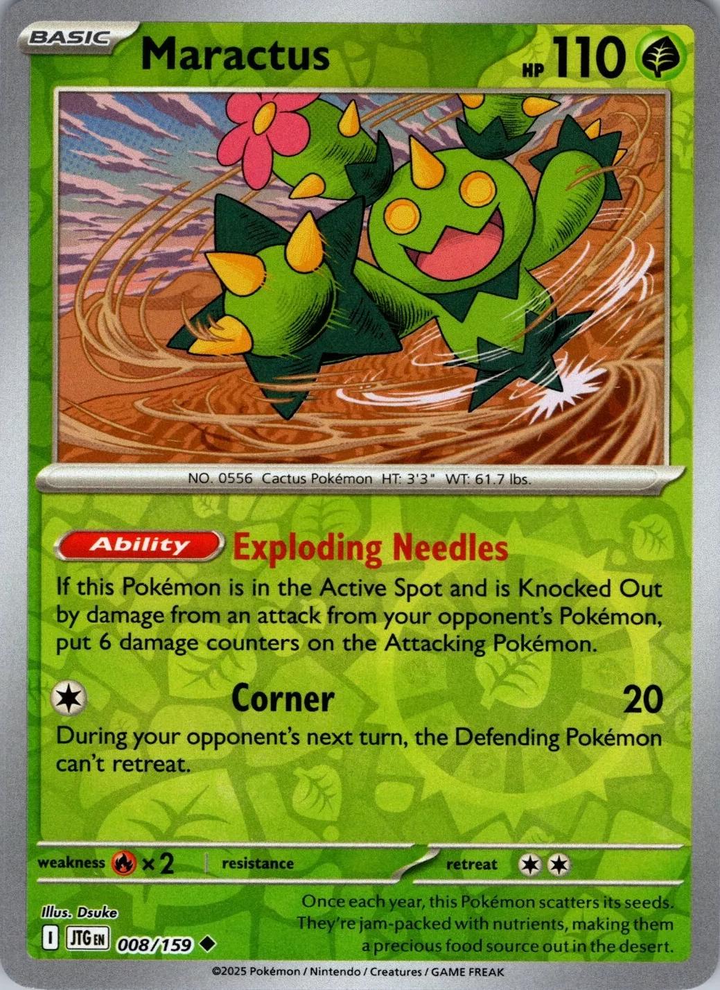 Maractus