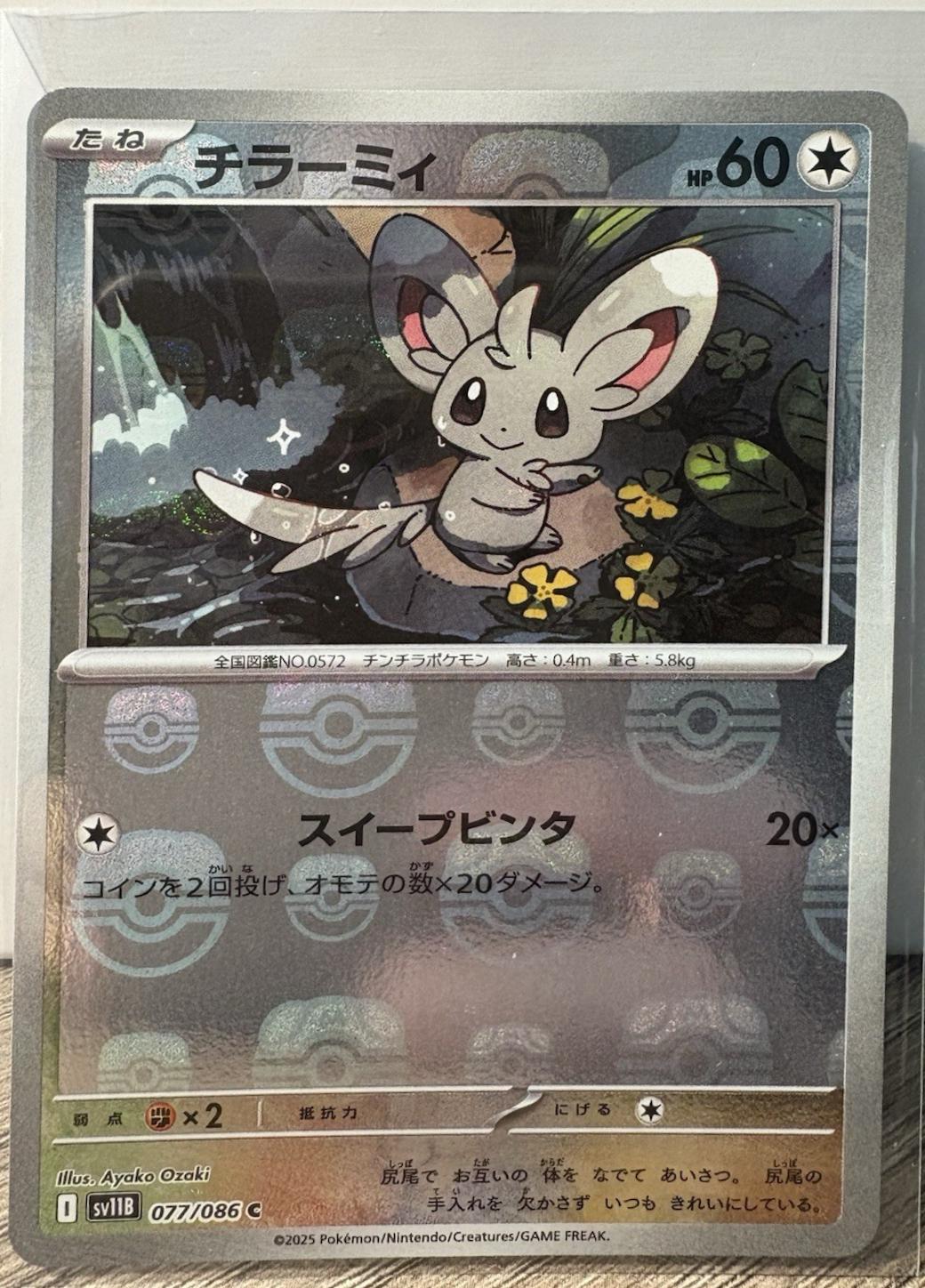Picture of Minccino