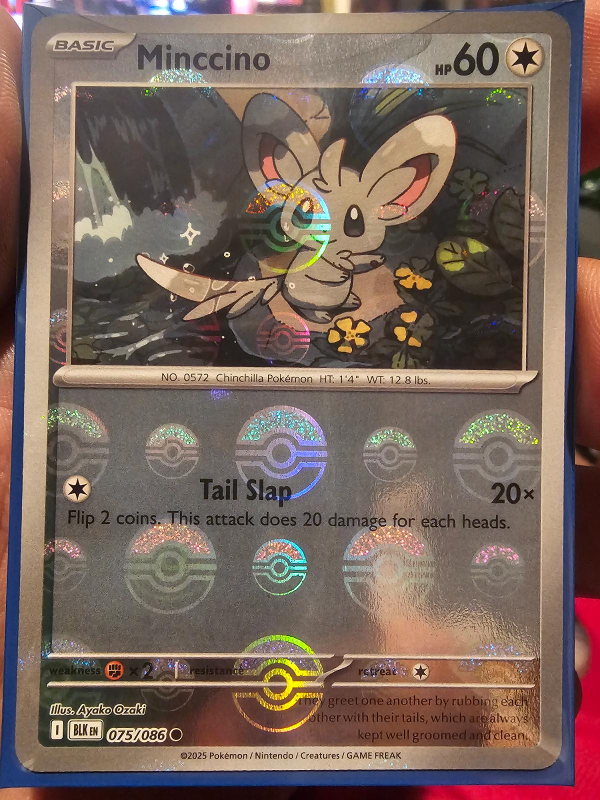 Minccino