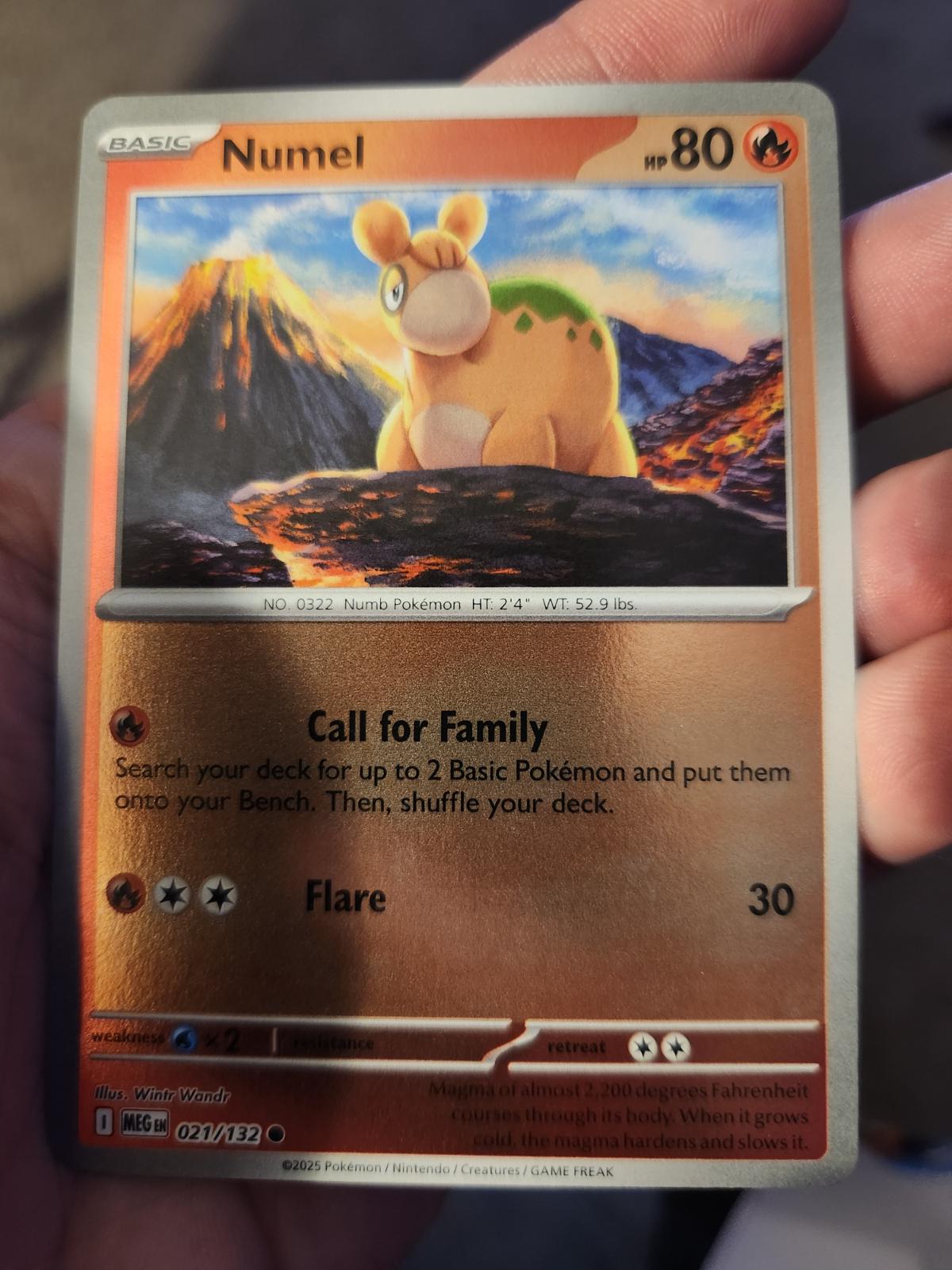 Picture of Numel