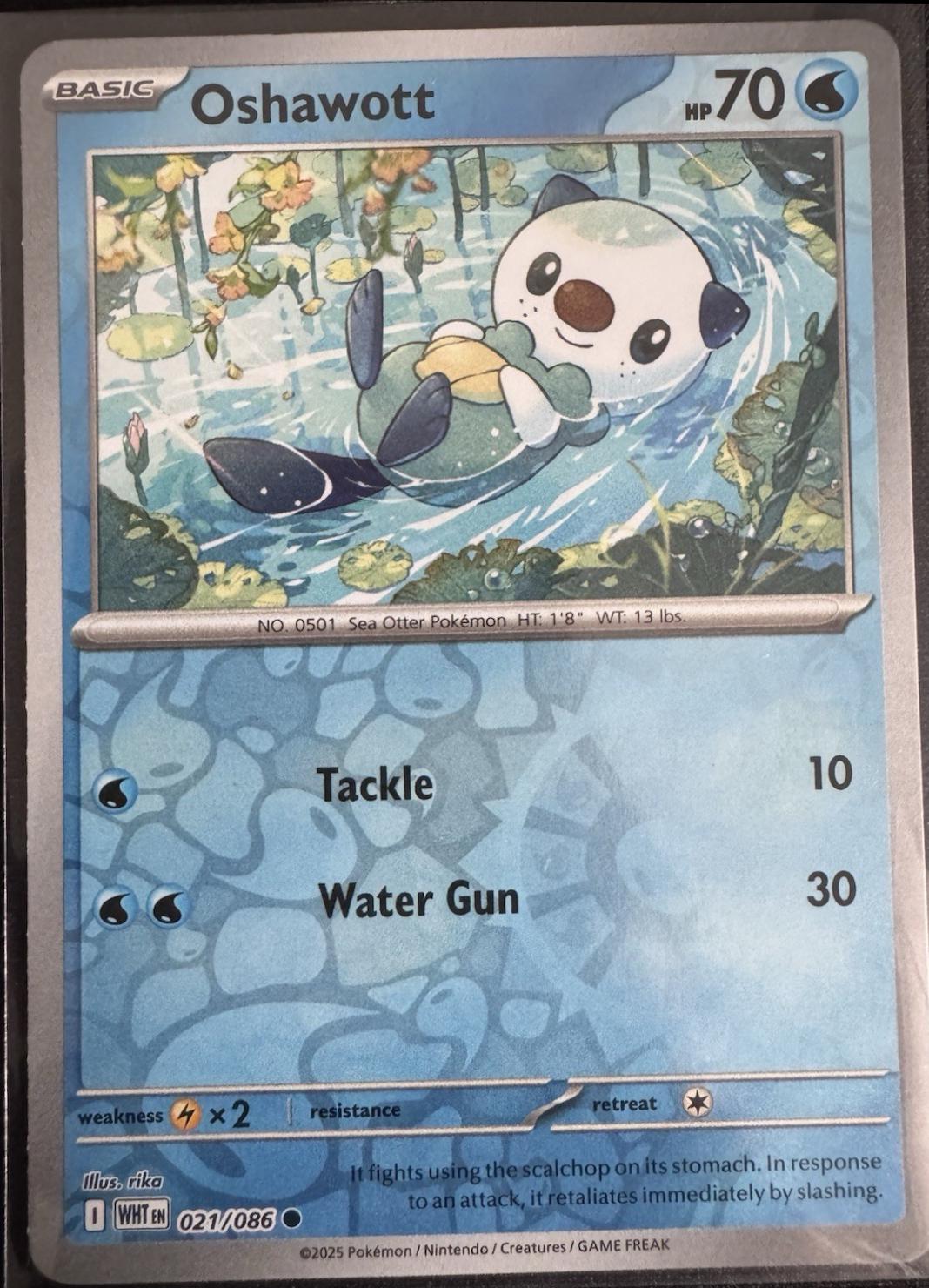 Picture of Oshawott