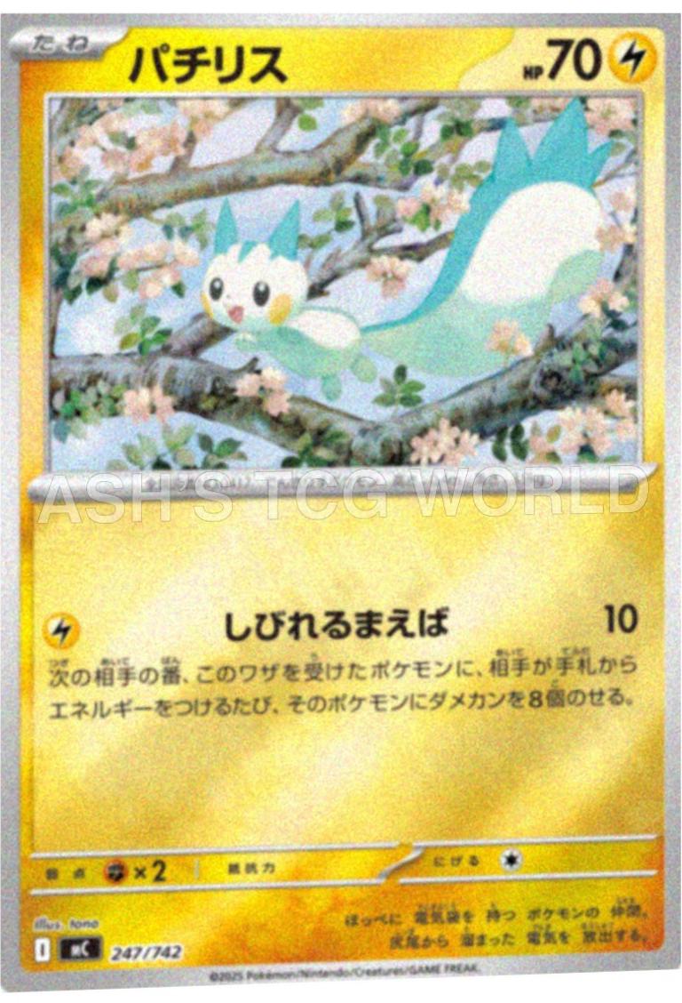 Picture of Pachirisu