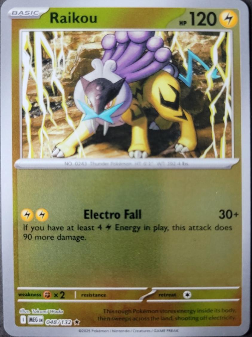 Picture of Raikou