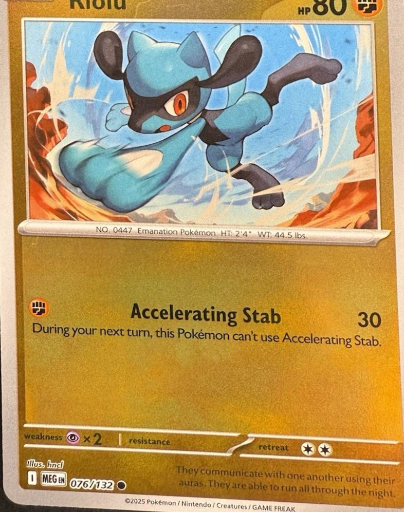 Picture of Riolu