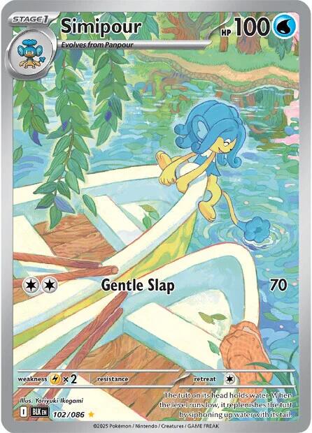 Picture of Simipour