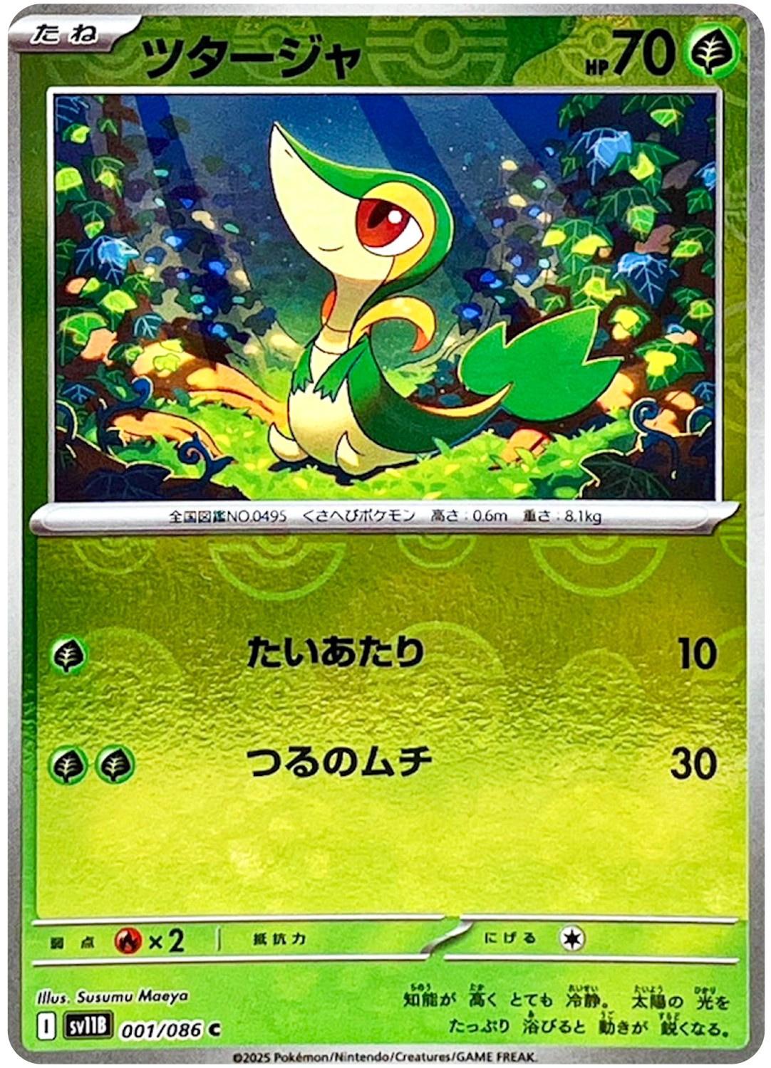 Picture of Snivy