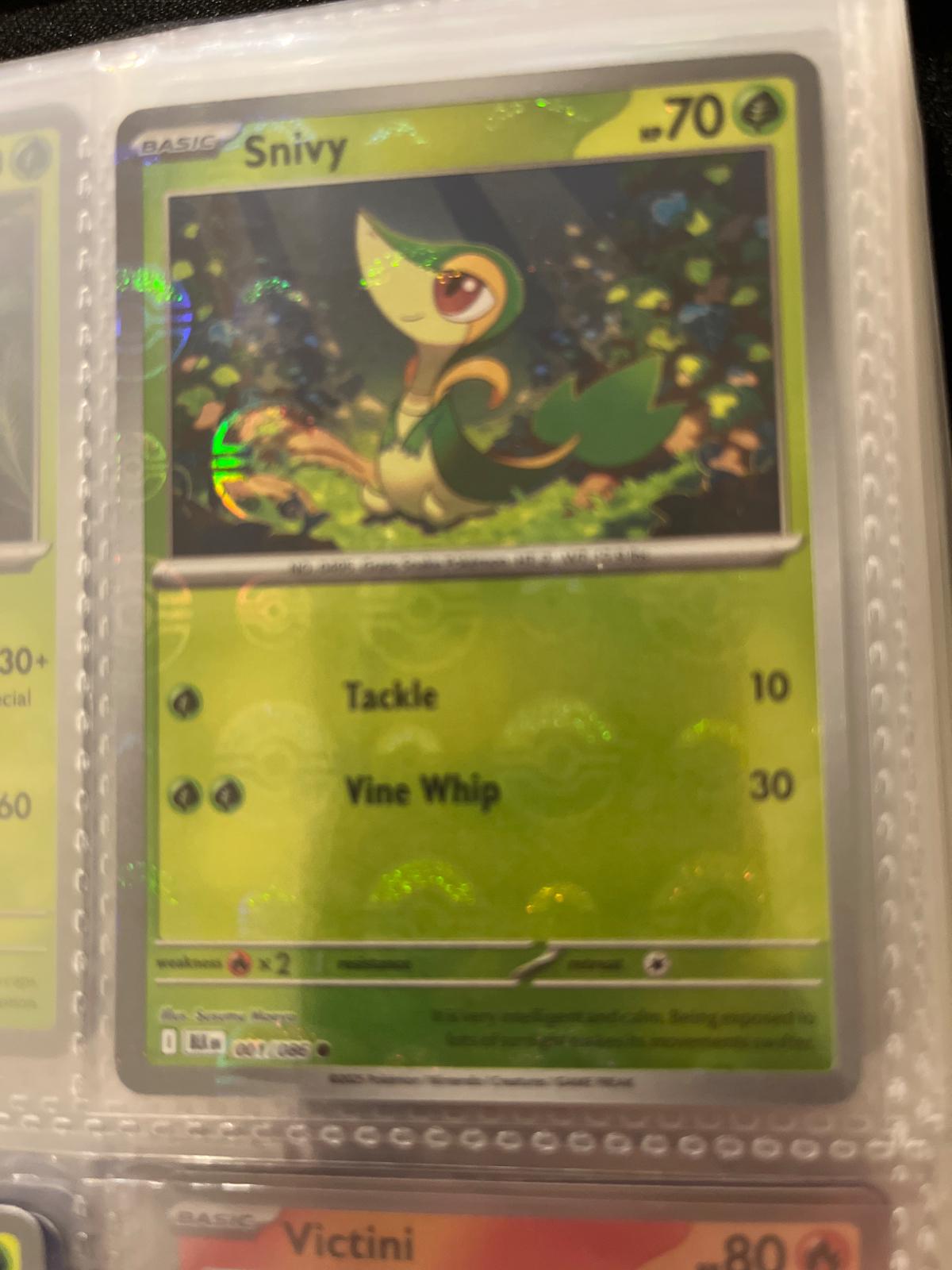 Snivy