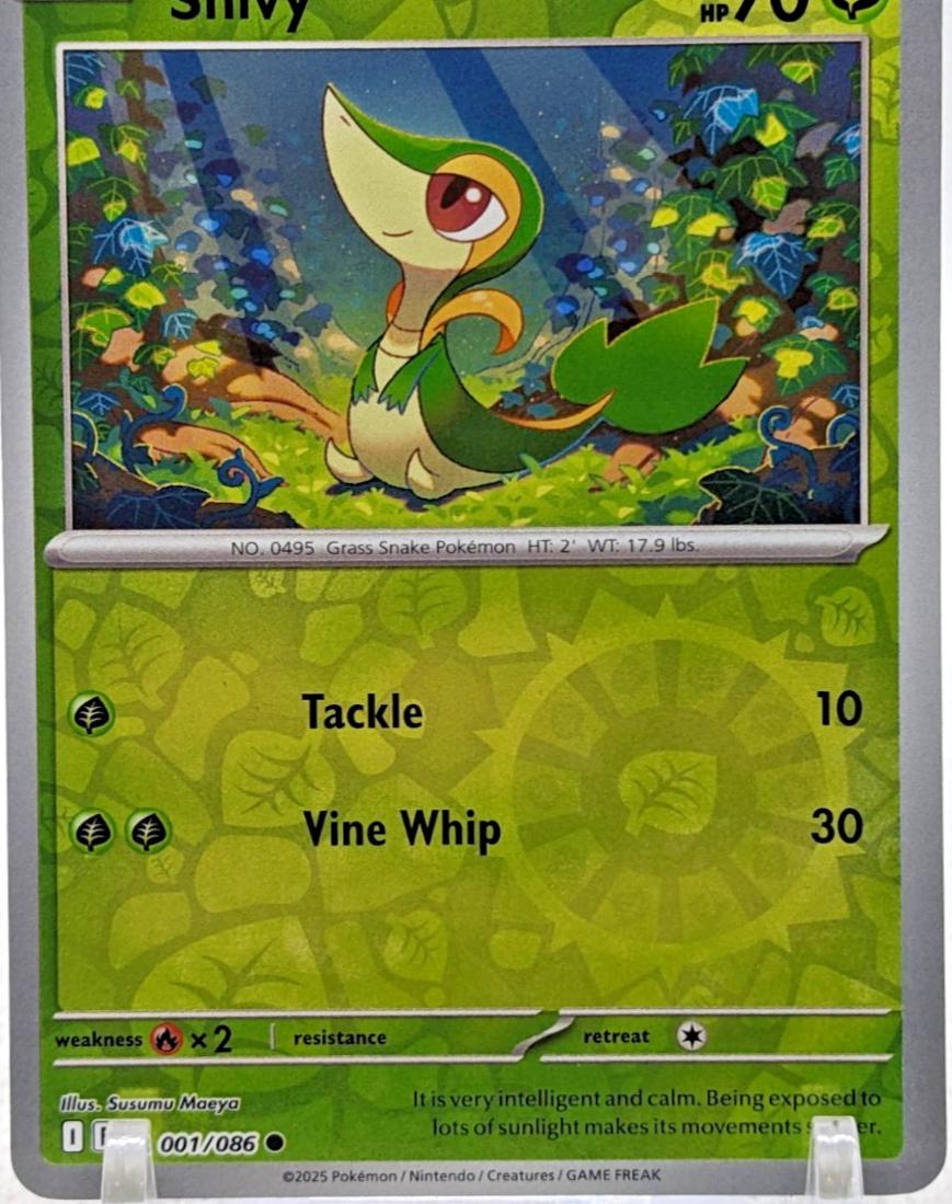 Picture of Snivy