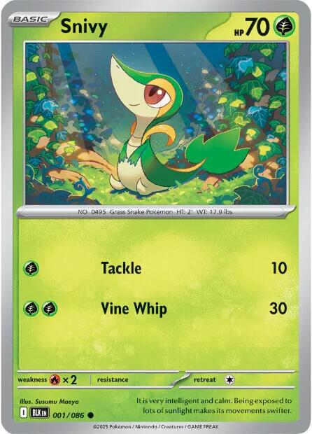 Picture of Snivy