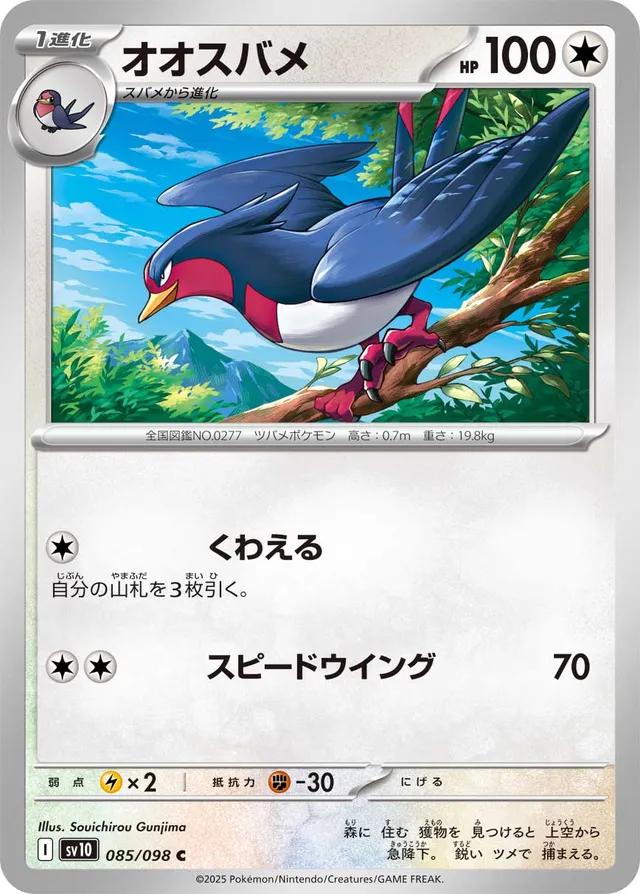 Picture of Swellow
