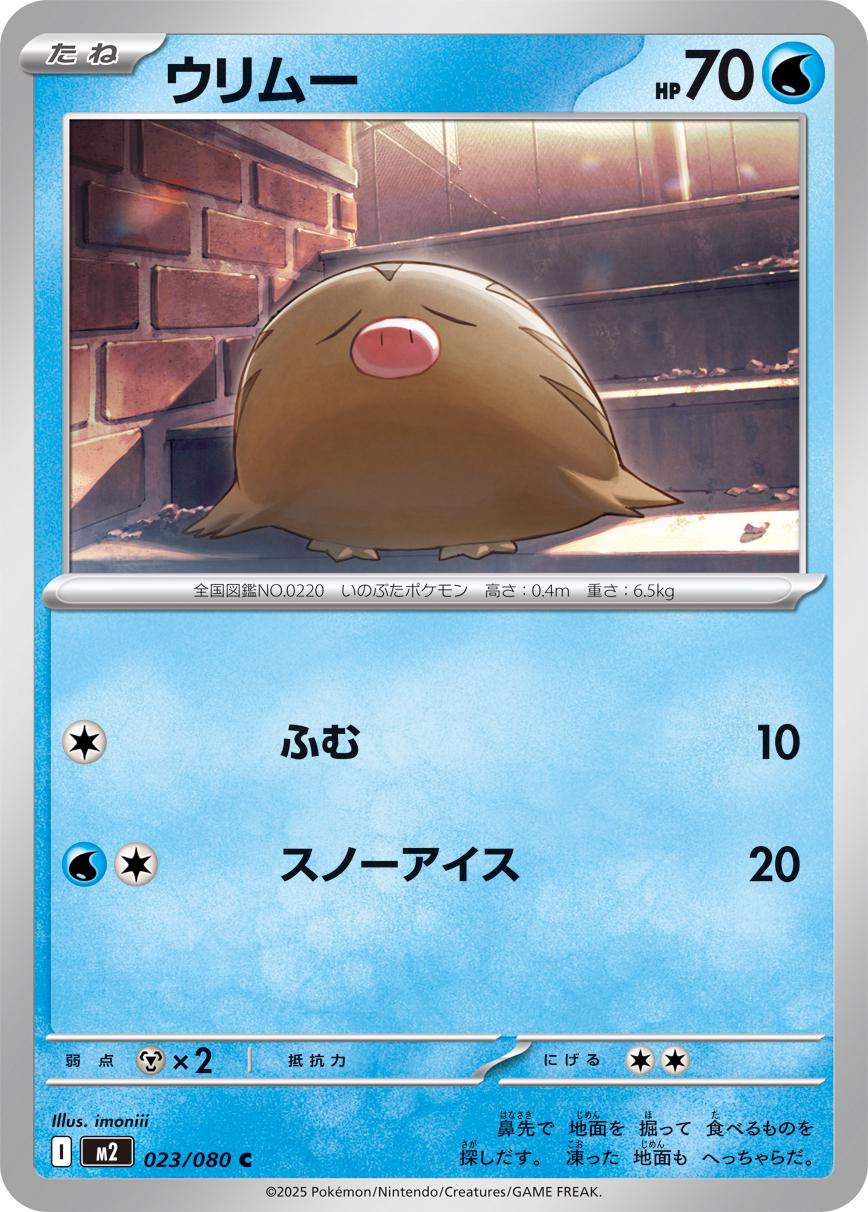 Picture of Swinub