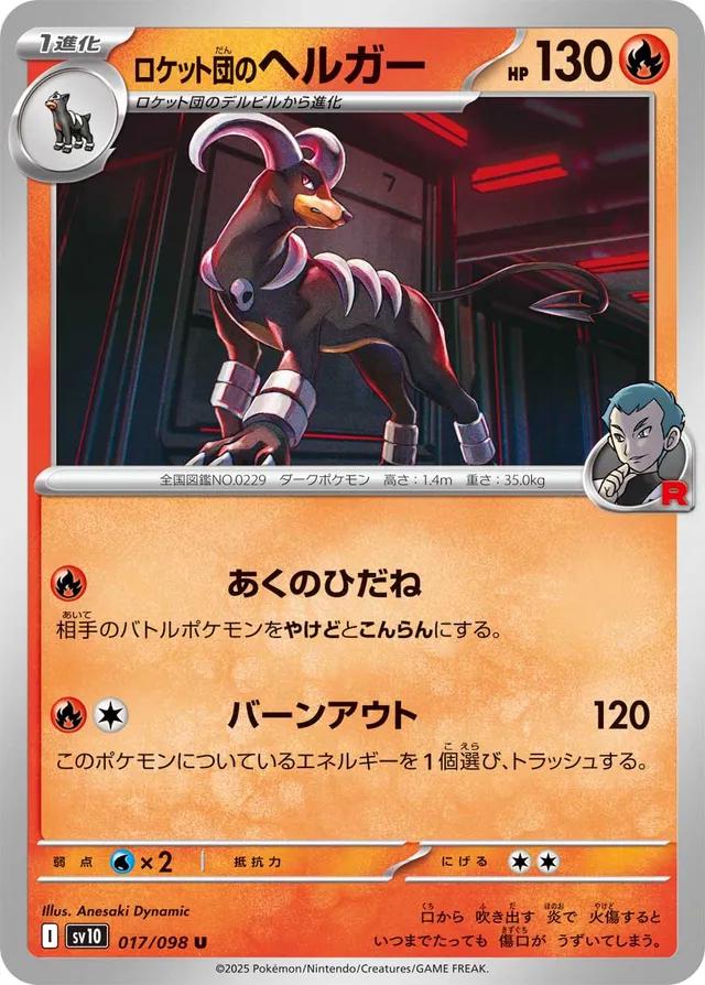 Picture of Team Rocket's Houndoom