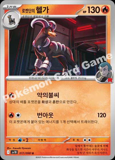 Picture of Team Rocket's Houndoom