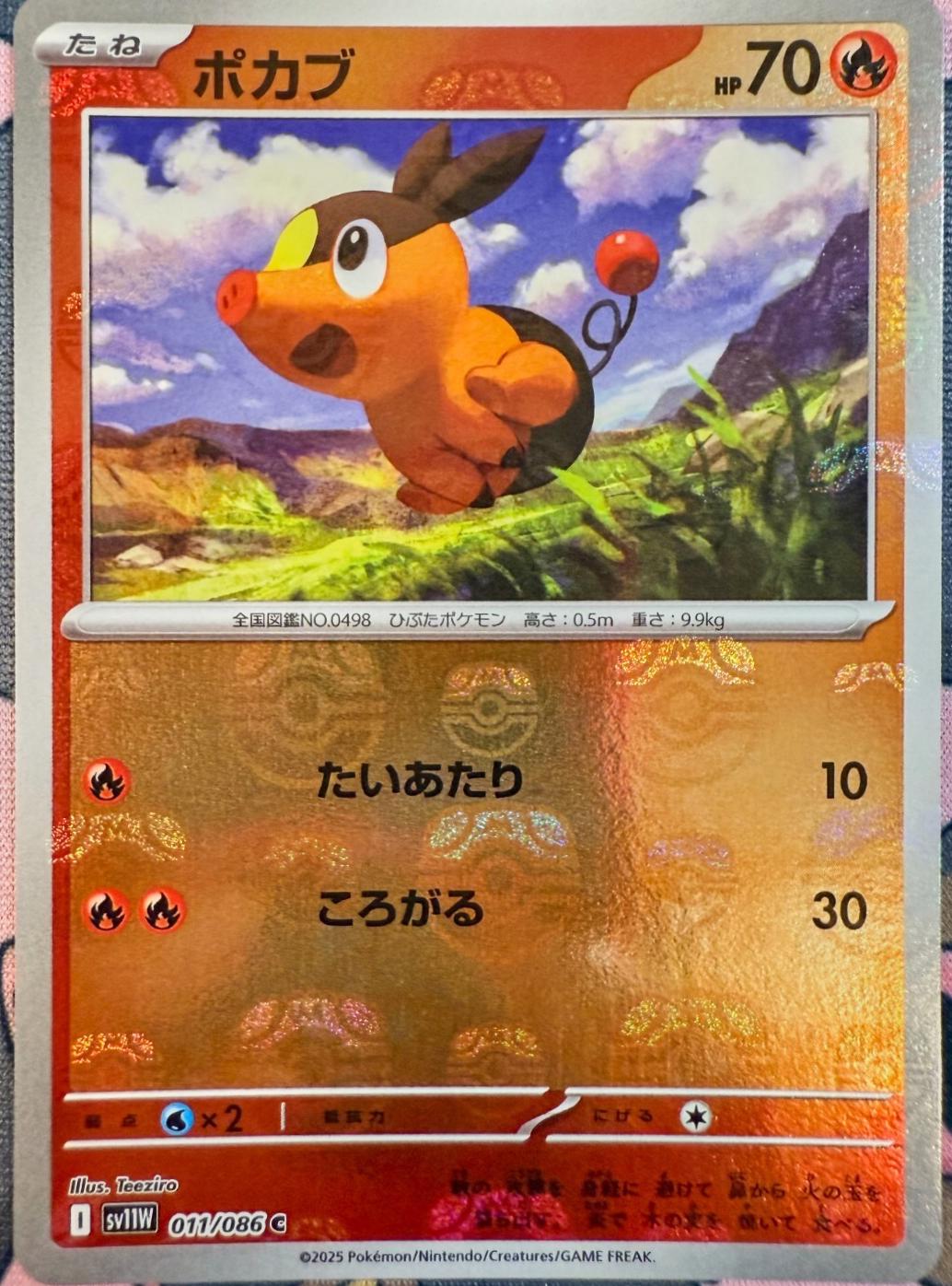 Picture of Tepig