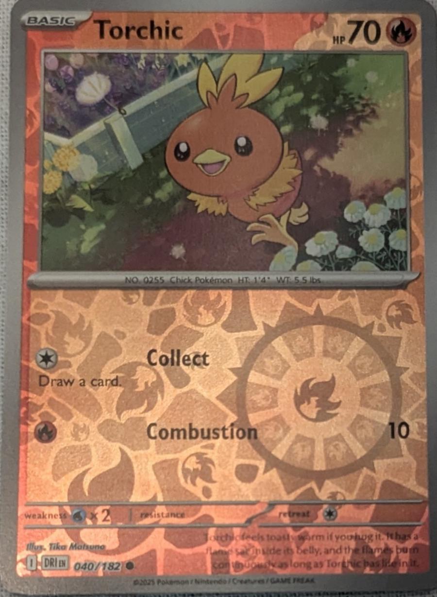 Picture of Torchic