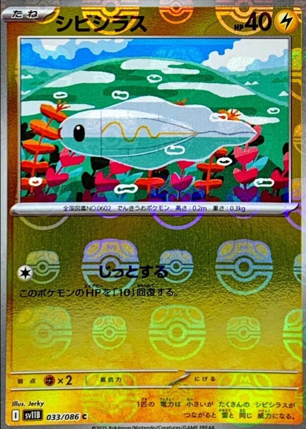 Picture of Tynamo