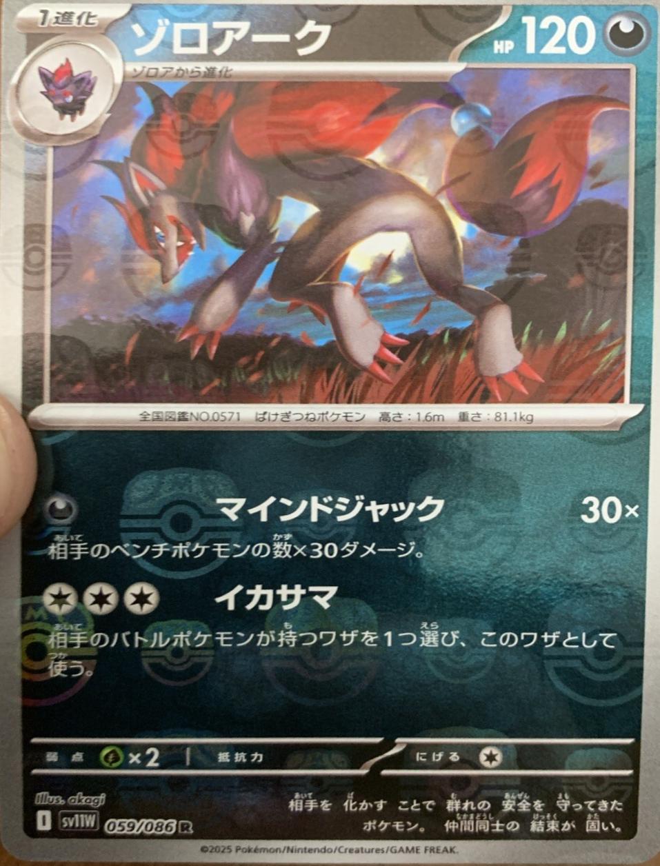 Picture of Zoroark