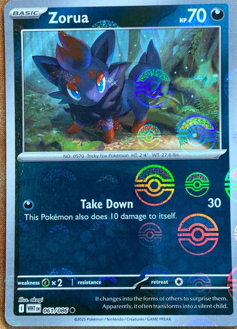 Picture of Zorua