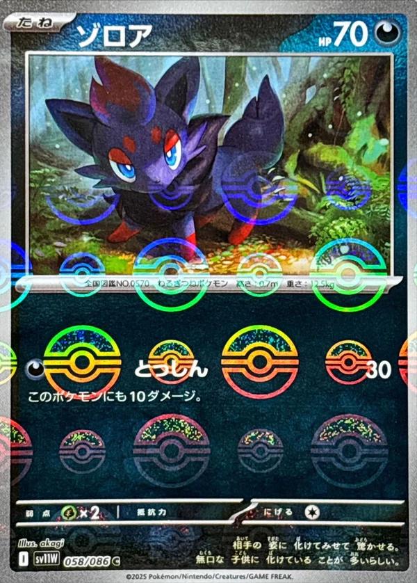 Picture of Zorua