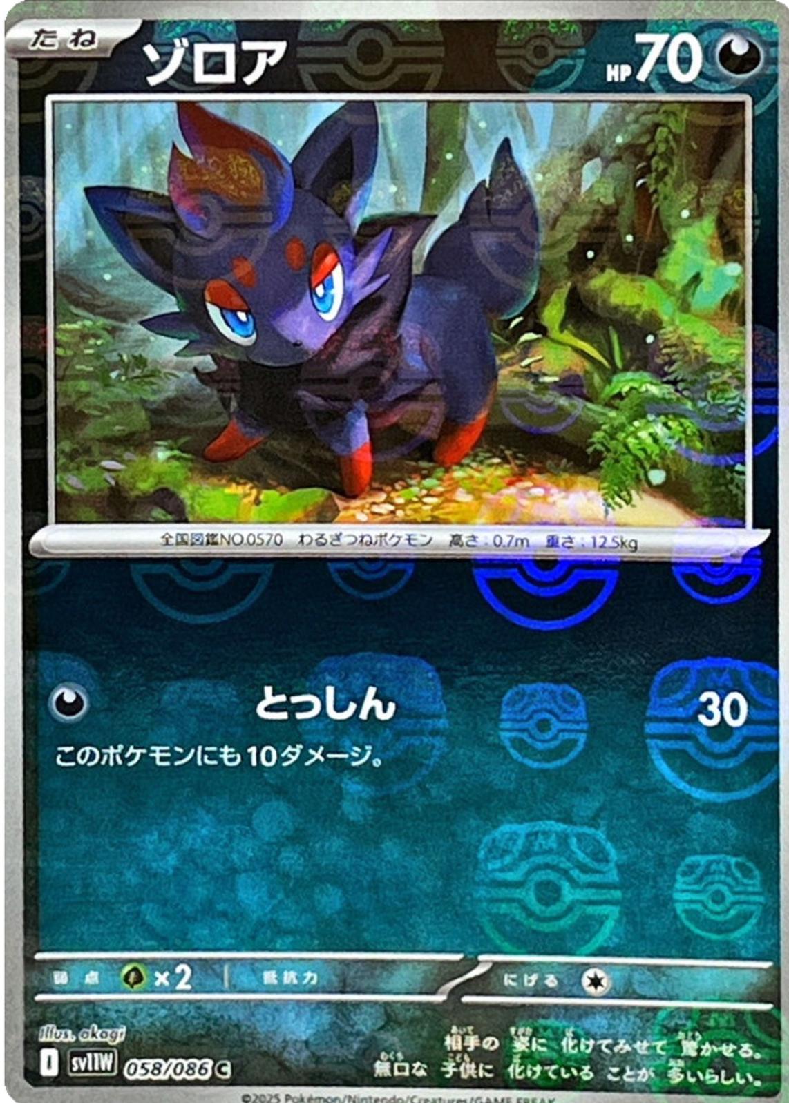 Picture of Zorua