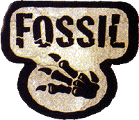 Pokemon Fossil Logo or Card