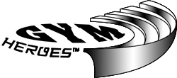 Pokemon Gym Heroes Logo or Card