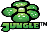 Pokemon Jungle Logo or Card