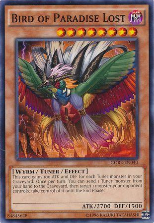 Image of Bird of Paradise Lost