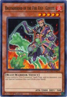 Image of Brotherhood of the Fire Fist - Coyote