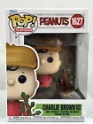 Funko Pop! Charlie Brown Christmas - Charlie Brown w/ Tree #1627 - NEW