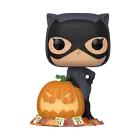 Funko Pop! Vinyl: DC Universe - Catwoman - GameStop (Exclusive) #507